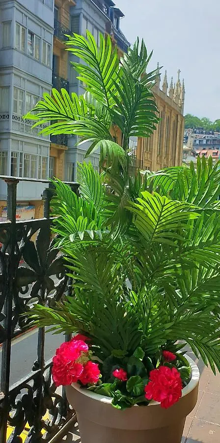 Guest house Pension Nuevas Artes San Sebastian
