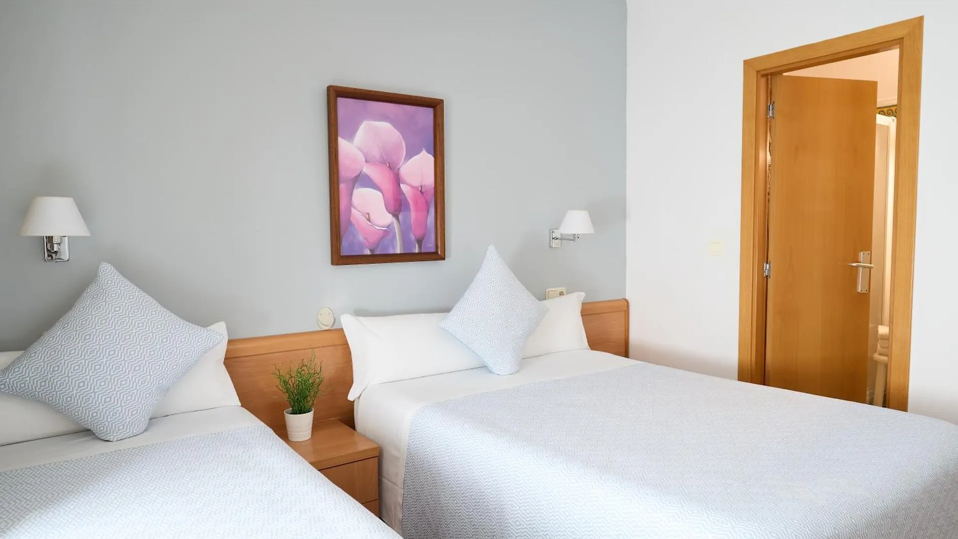 Pension Nuevas Artes San Sebastián Affittacamere